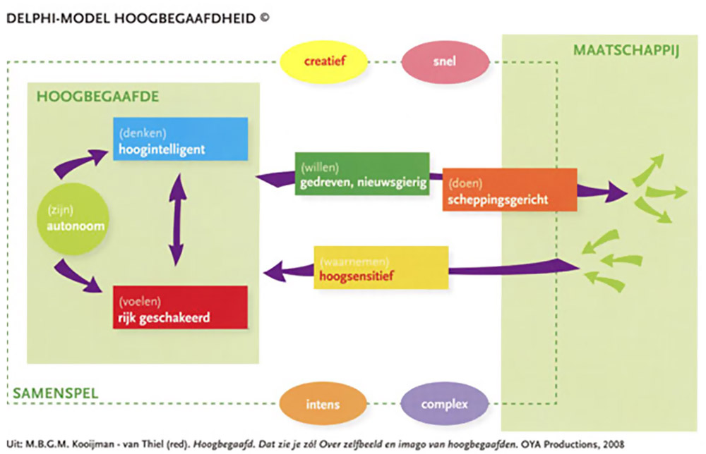 Delphi-model hoogbegaafdheid